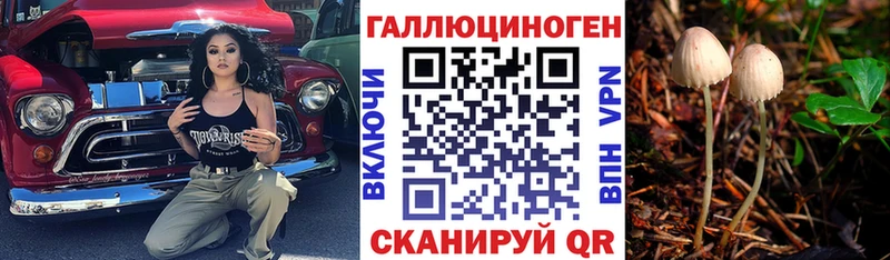 KRAKEN как войти  где можно купить наркотик  Лесозаводск  Псилоцибиновые грибы Magic Shrooms 