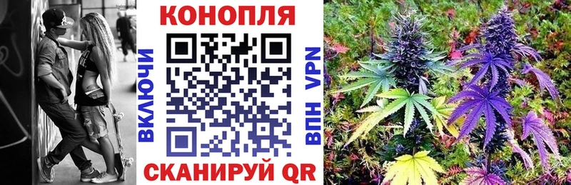 где купить   Лесозаводск  Конопля марихуана 